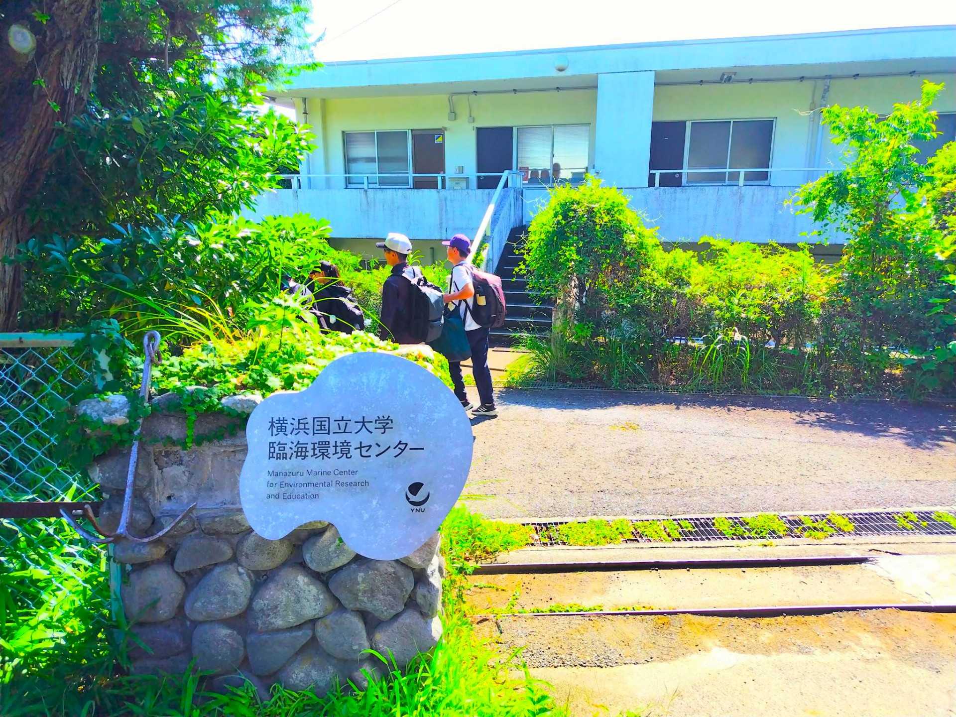 メディア (33)
